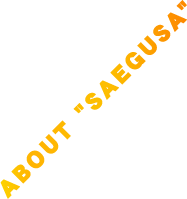 ABOUT 'SAEGUSA'