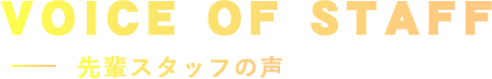 VOICE OF STAFF 先輩スタッフの声